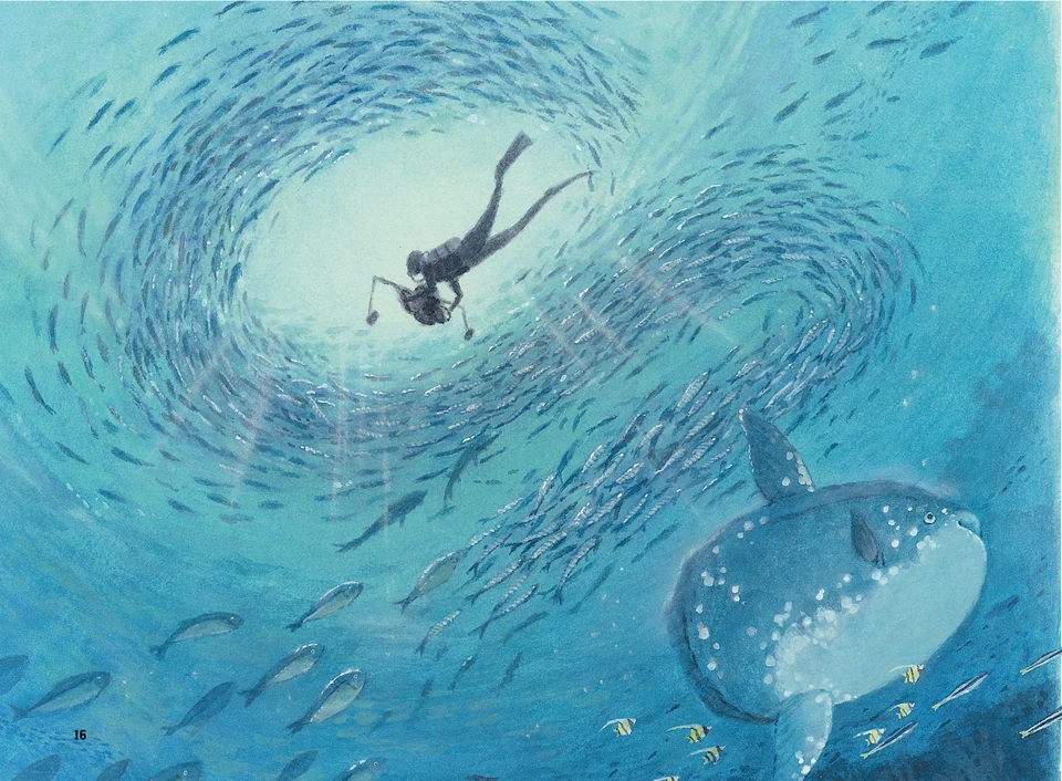 『ママは海の魔女』：ダイバーを囲む魚の群れ