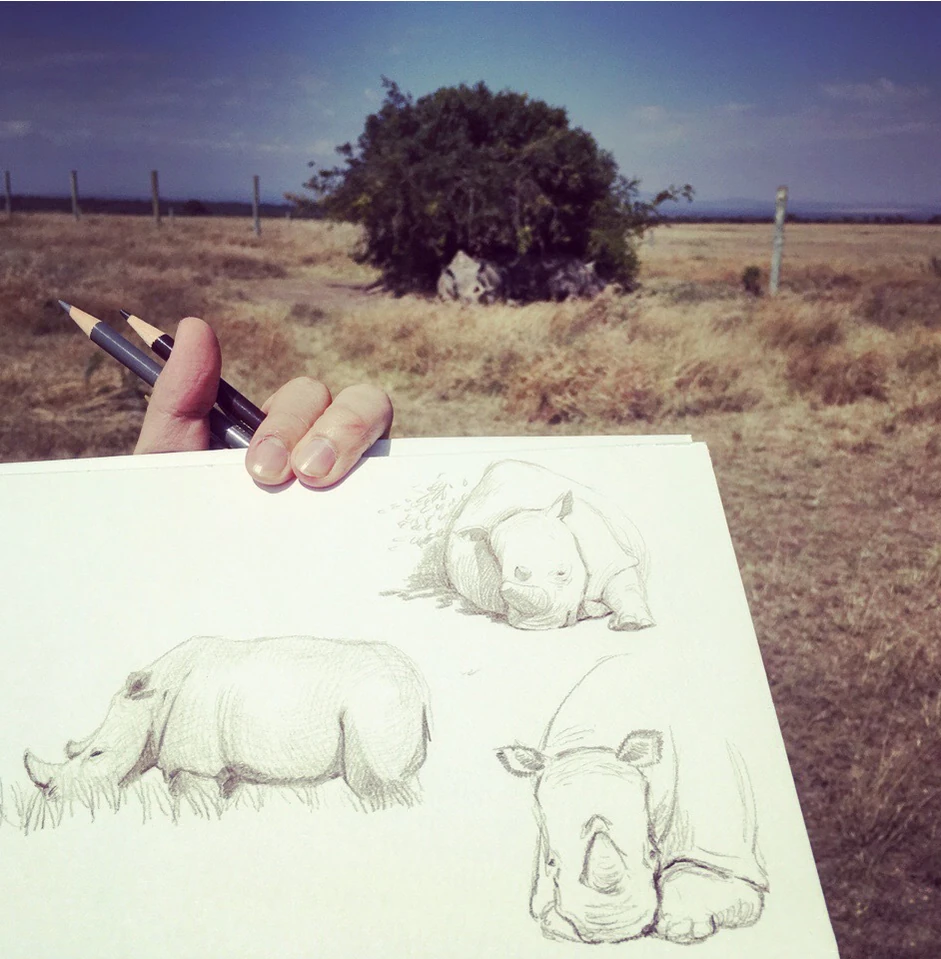 The Rhino Horn of Sudan · research and documentation · 3