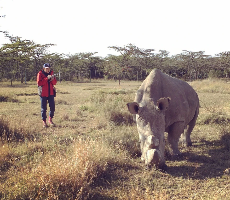 The Rhino Horn of Sudan · research and documentation · 5