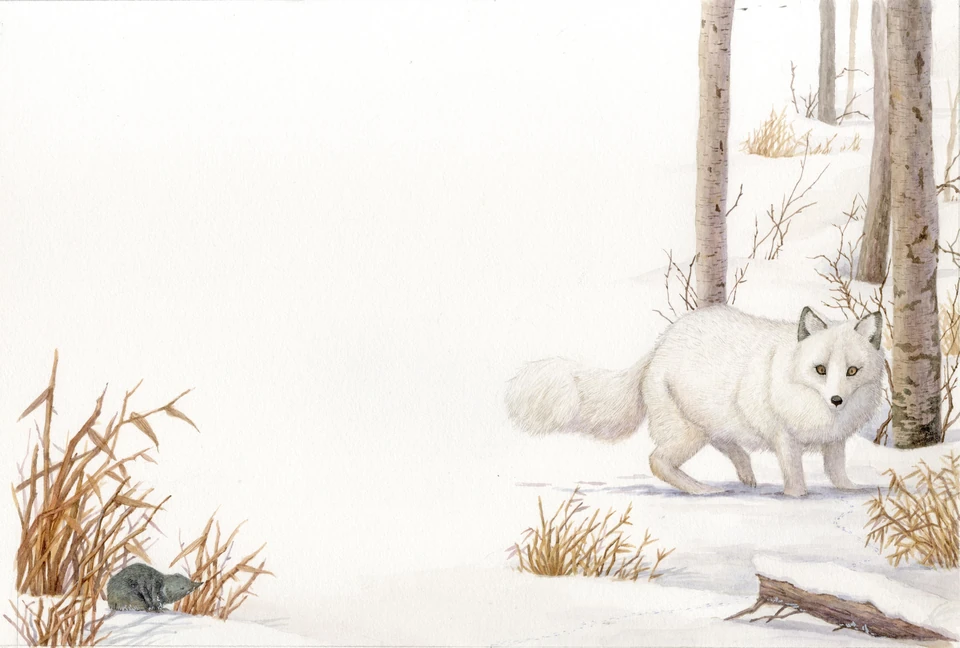 A white fox and a mouse beside grasses