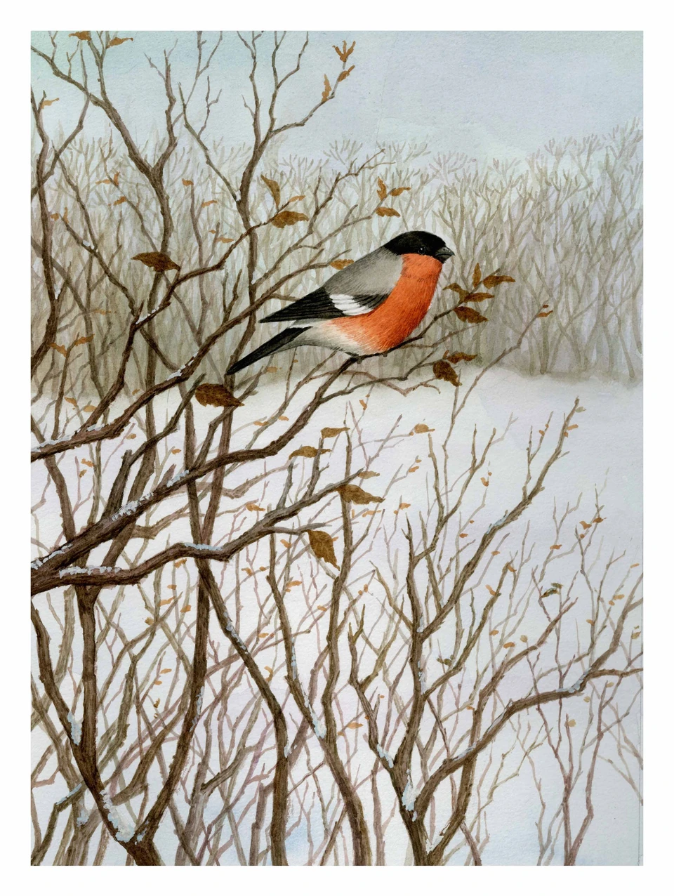 bird on a winter branch