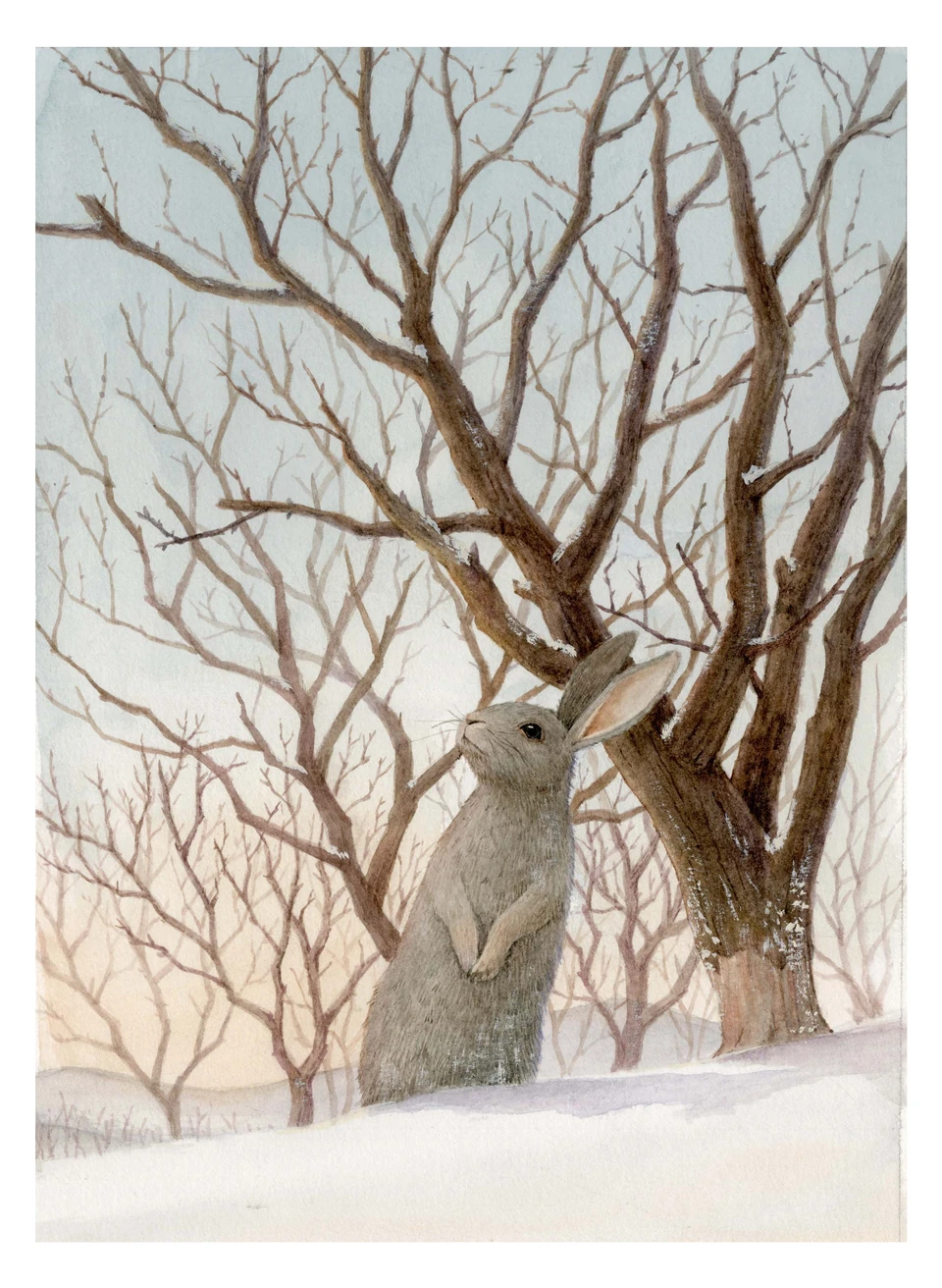 A hare standing upright beside a winter tree